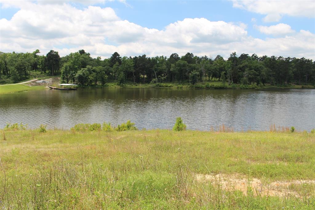 Tract 118 Private Road 1313, Centerville, Texas image 11
