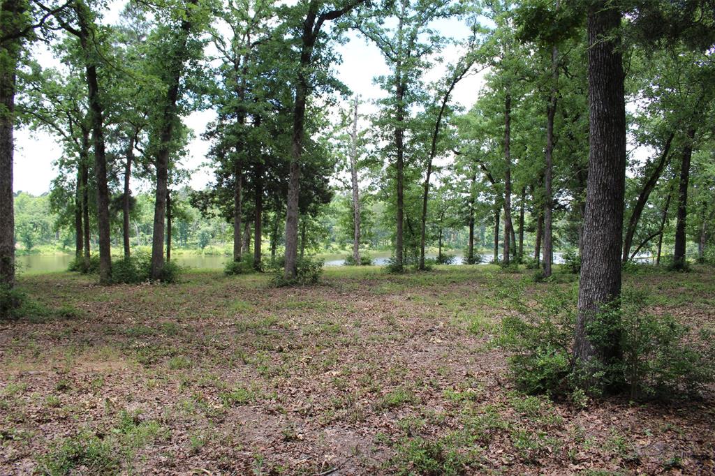 Tract 118 Private Road 1313, Centerville, Texas image 14