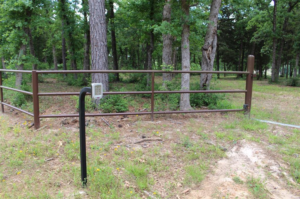 Tract 118 Private Road 1313, Centerville, Texas image 10