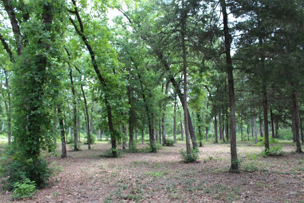 Tract 118 Private Road 1313, Centerville, Texas image 16