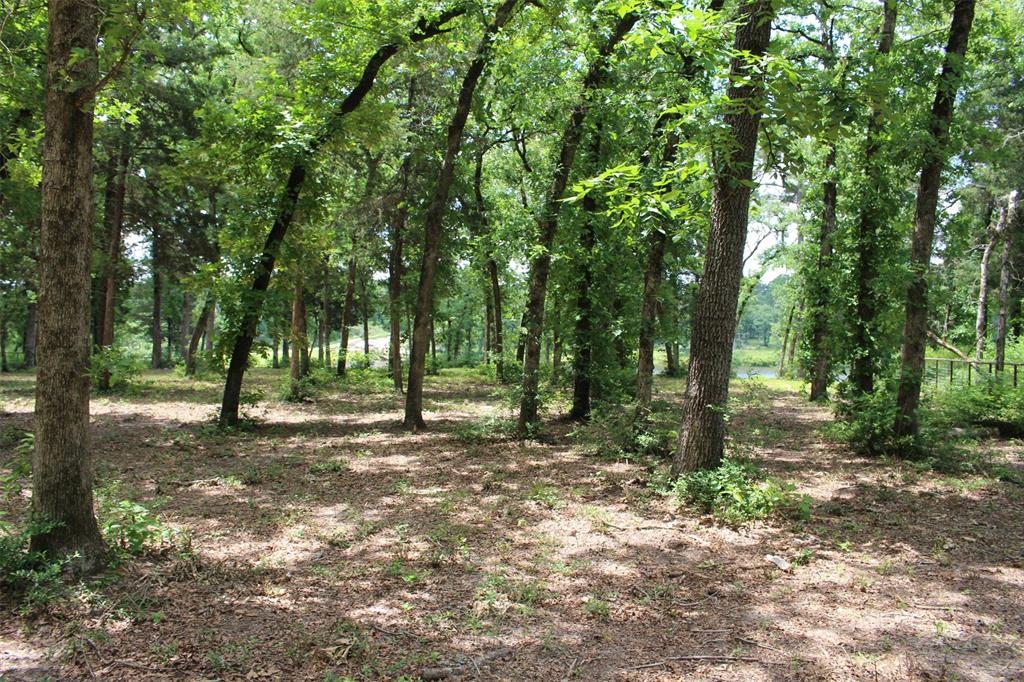 Tract 118 Private Road 1313, Centerville, Texas image 17