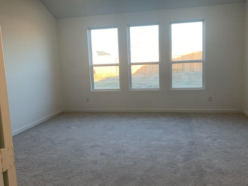 26923 Tree Mallow Drive