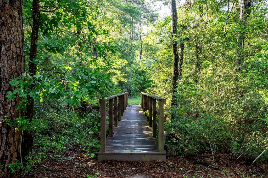 307 Grand View, Huntsville, Texas image 39