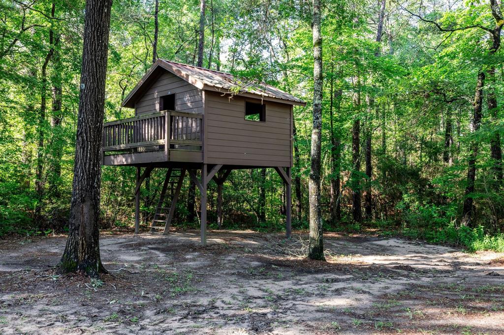 307 Grand View, Huntsville, Texas image 40