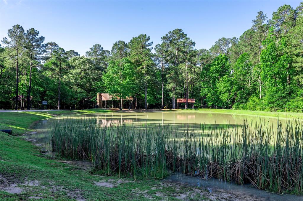 307 Grand View, Huntsville, Texas image 42