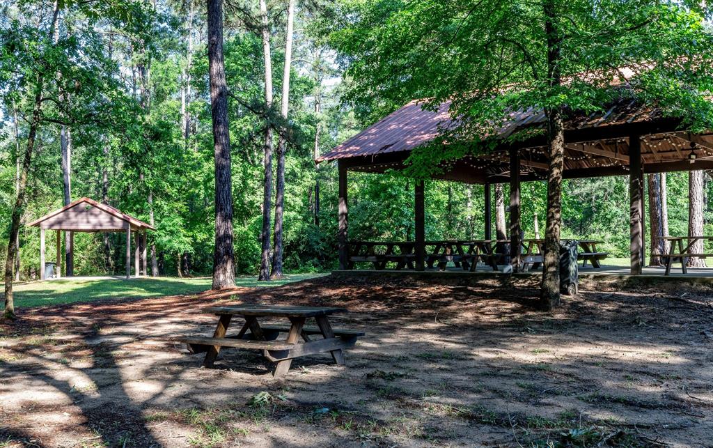 307 Grand View, Huntsville, Texas image 37