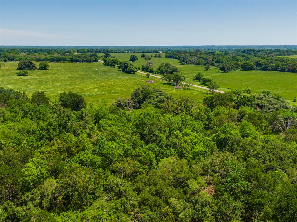 TBD Fm 1771 - Fm-3144, Marlin, Texas image 12