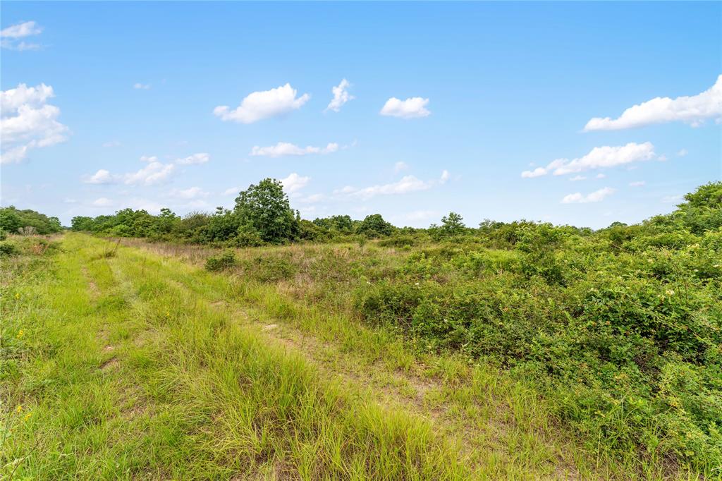 1055 Lisa Mae Road, Bellville, Texas image 28