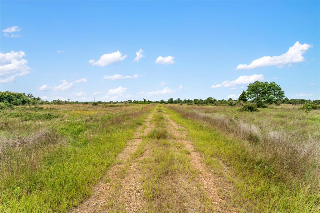 1055 Lisa Mae Road, Bellville, Texas image 27