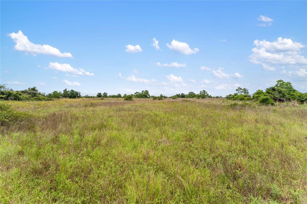 1055 Lisa Mae Road, Bellville, Texas image 32