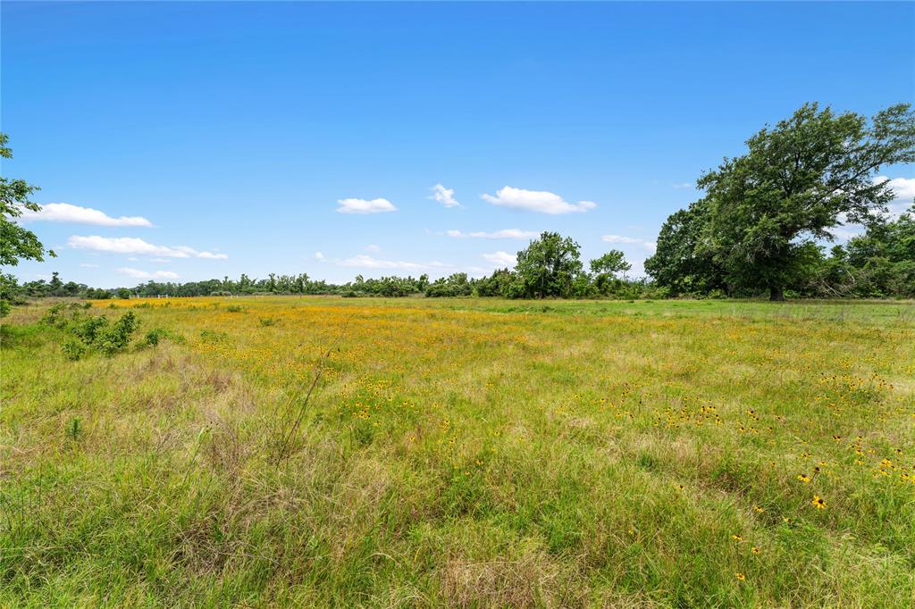 1055 Lisa Mae Road, Bellville, Texas image 20