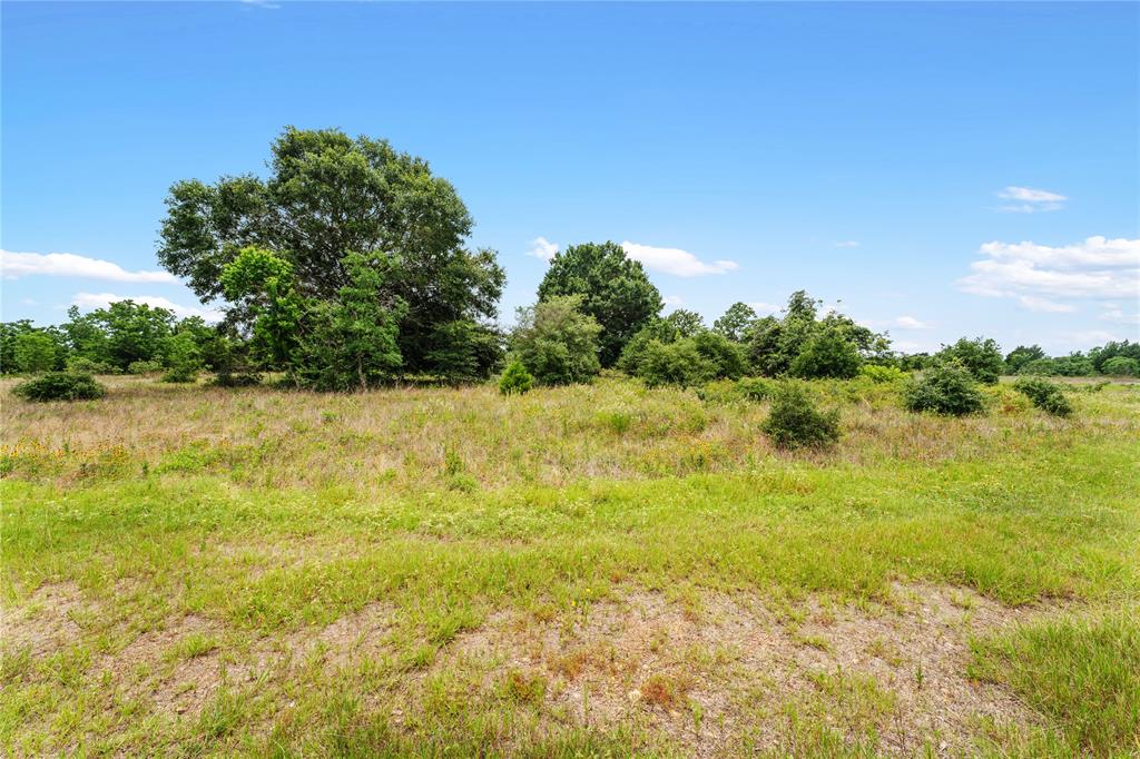 1055 Lisa Mae Road, Bellville, Texas image 29