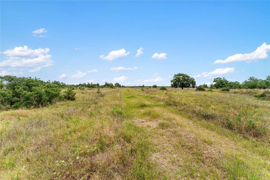 1055 Lisa Mae Road, Bellville, Texas image 25