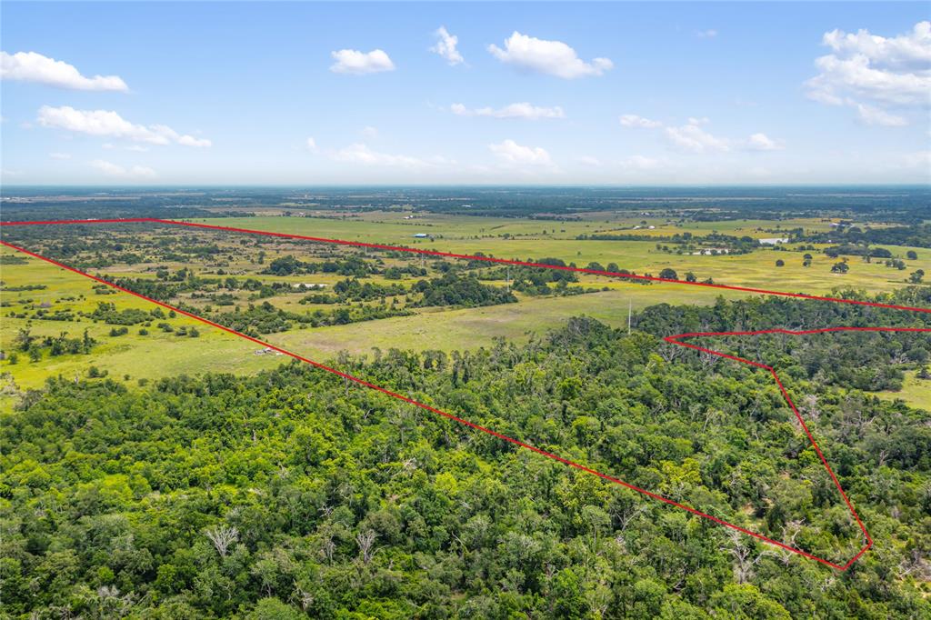 1055 Lisa Mae Road, Bellville, Texas image 4