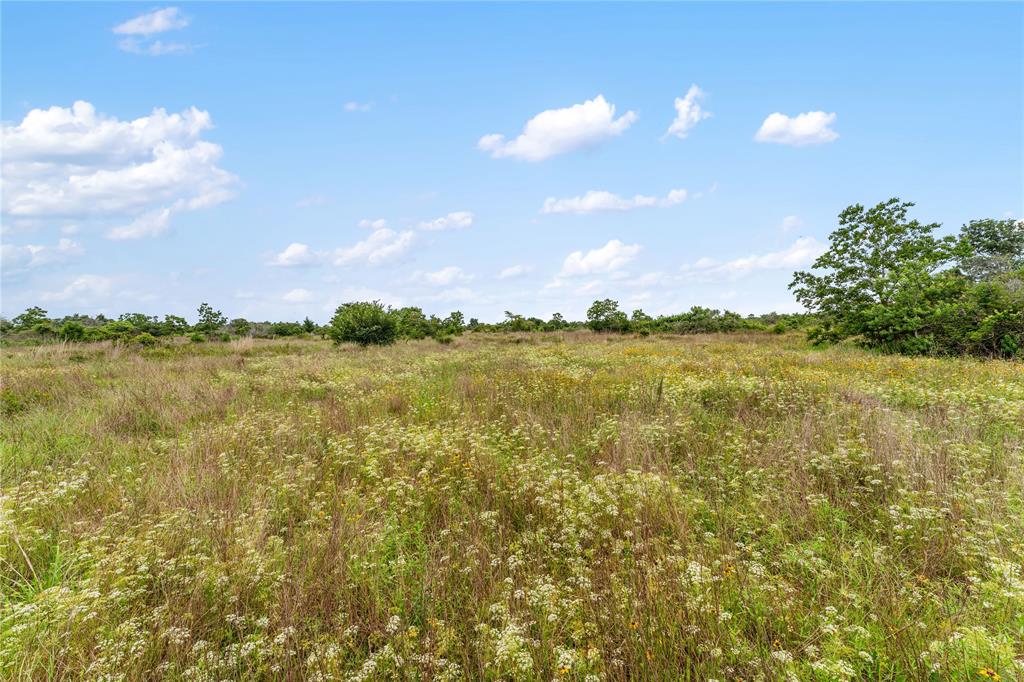 1055 Lisa Mae Road, Bellville, Texas image 37