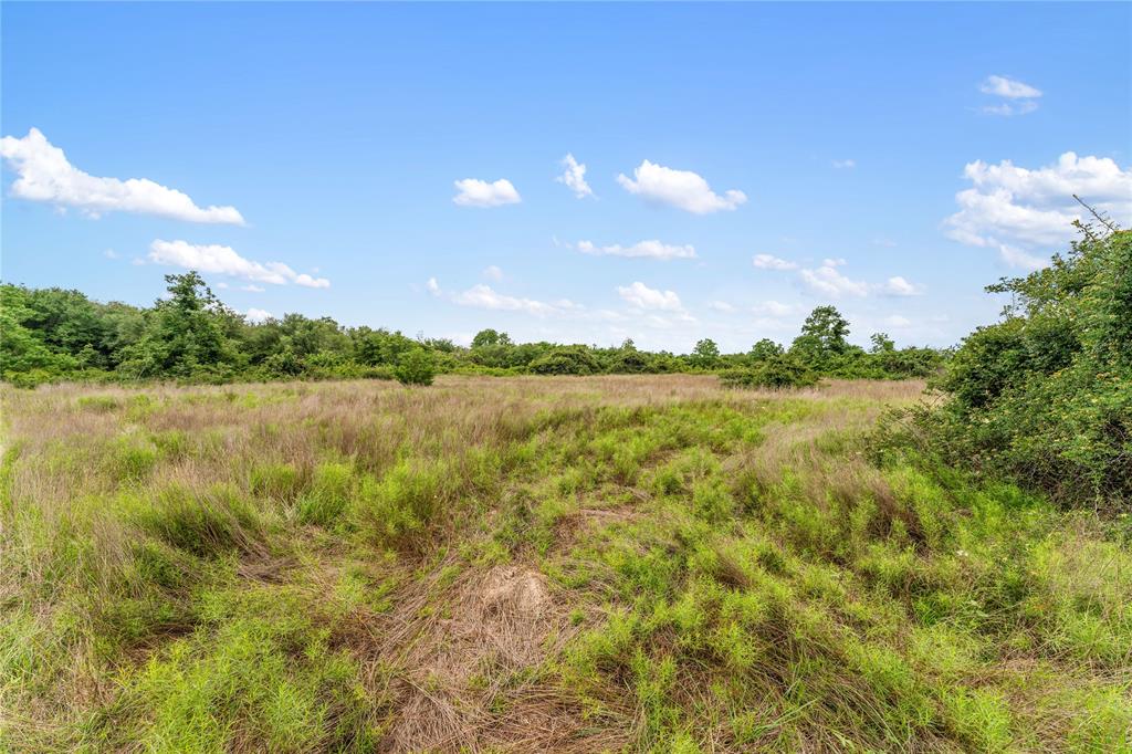 1055 Lisa Mae Road, Bellville, Texas image 38