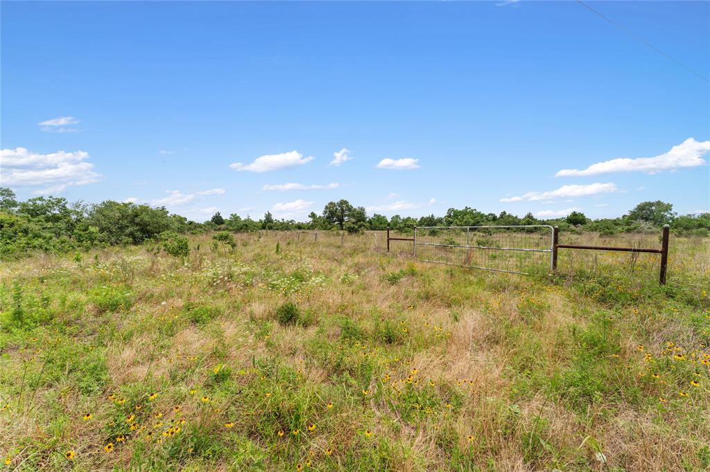 1055 Lisa Mae Road, Bellville, Texas image 31