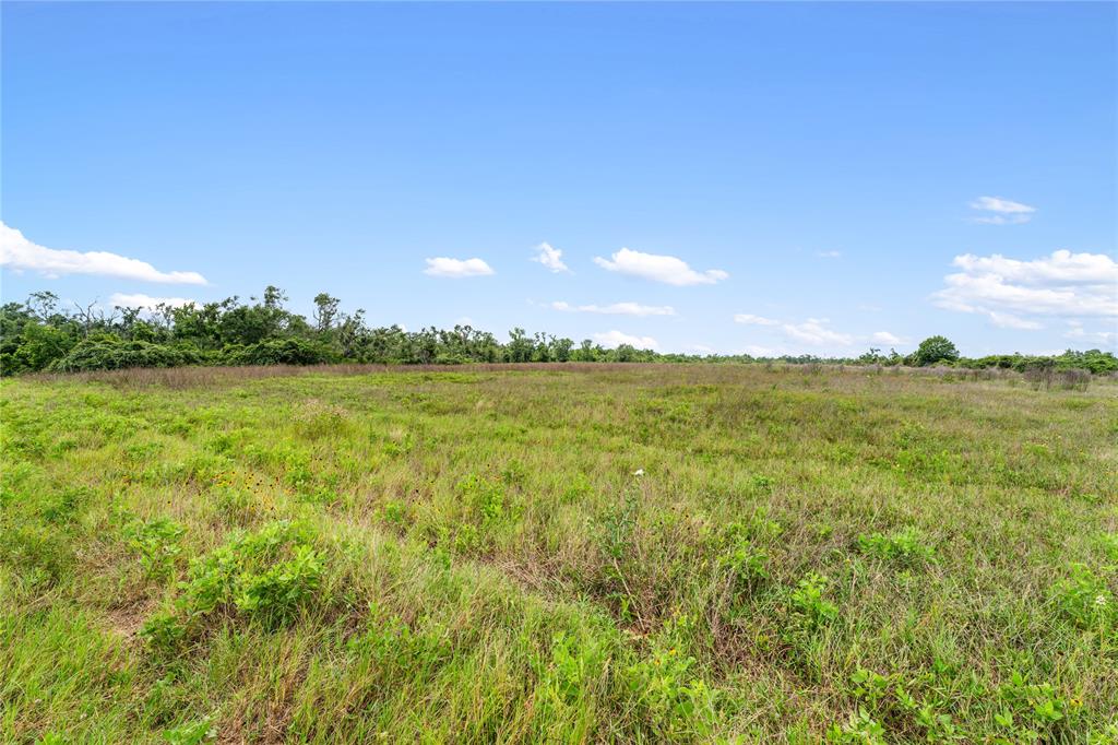 1055 Lisa Mae Road, Bellville, Texas image 19