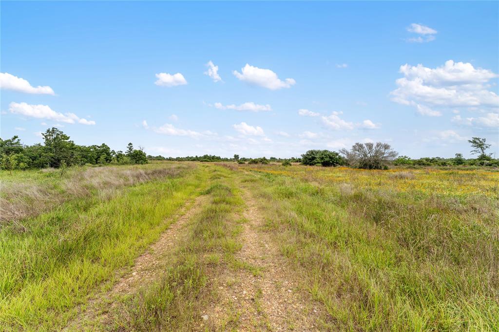 1055 Lisa Mae Road, Bellville, Texas image 26
