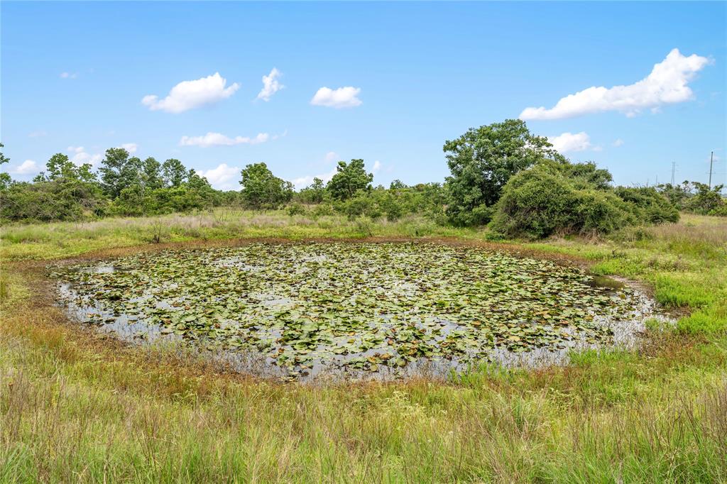 1055 Lisa Mae Road, Bellville, Texas image 21