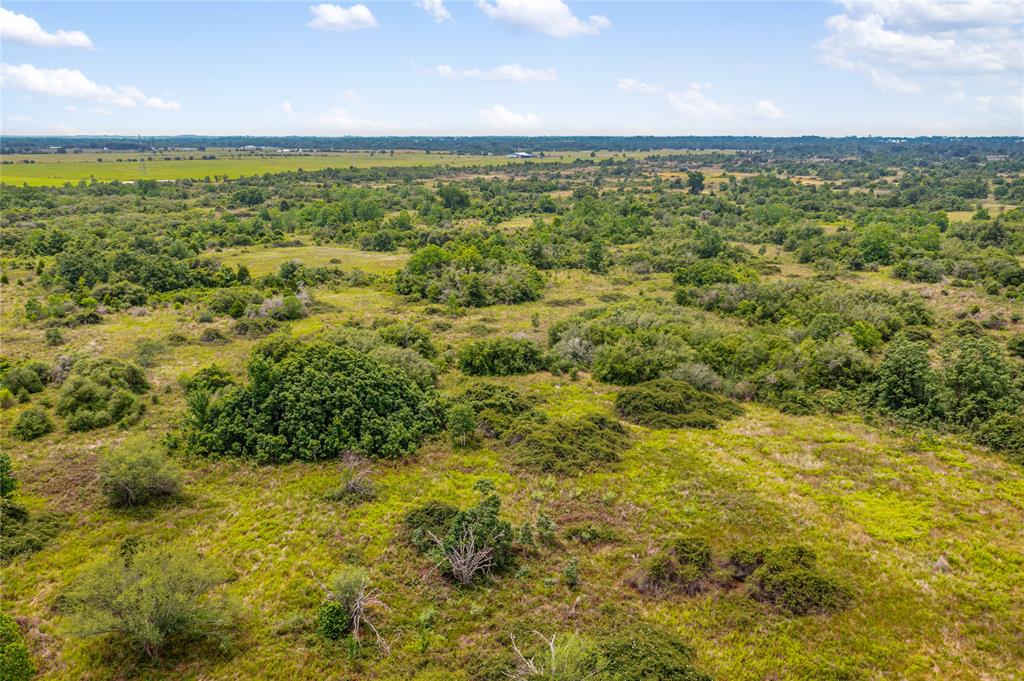 1055 Lisa Mae Road, Bellville, Texas image 11
