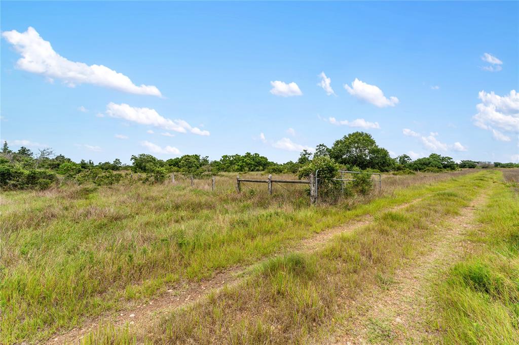 1055 Lisa Mae Road, Bellville, Texas image 24