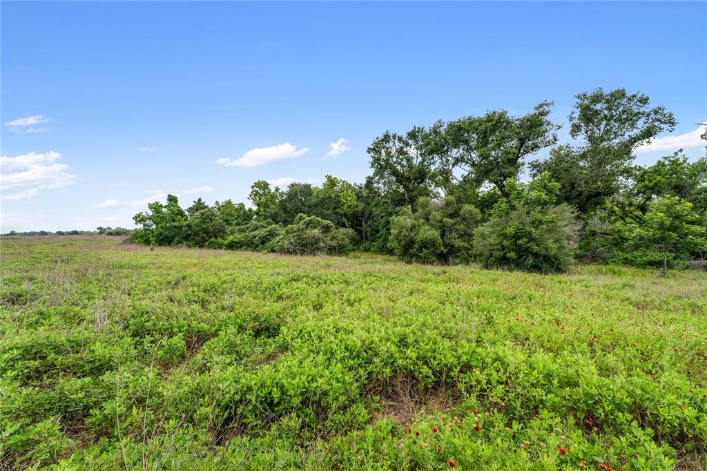 1055 Lisa Mae Road, Bellville, Texas image 39