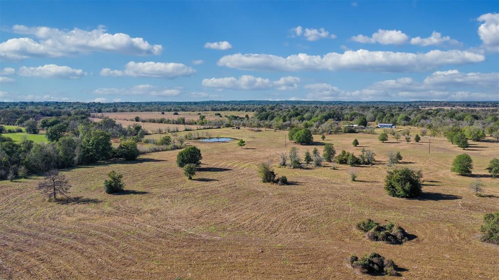 Lot 11 County Rd 229, Bedias, Texas image 11