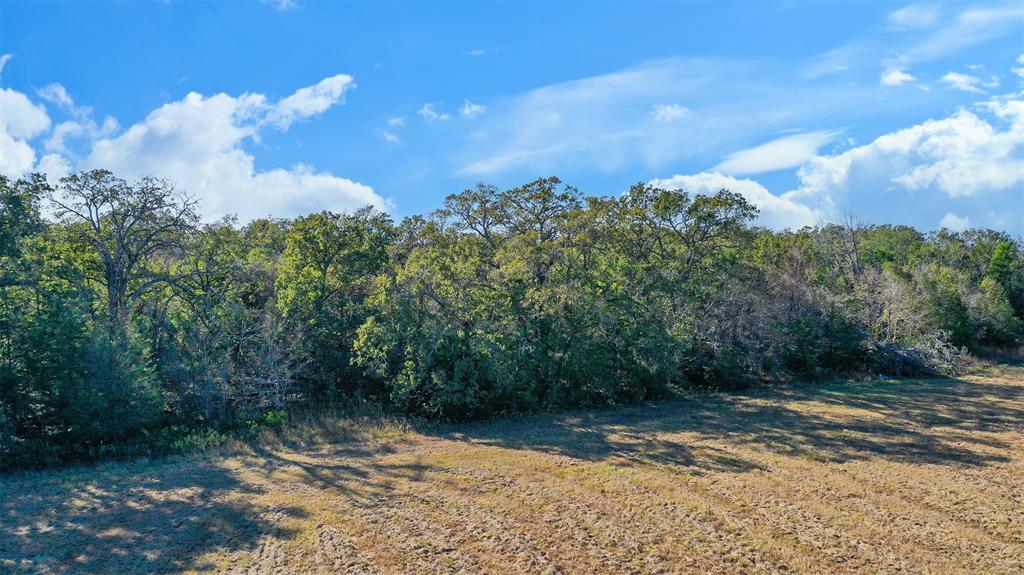 Lot 11 County Rd 229, Bedias, Texas image 8