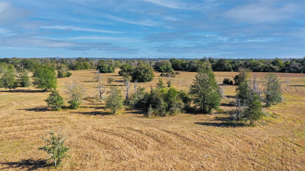 Lot 11 County Rd 229, Bedias, Texas image 7