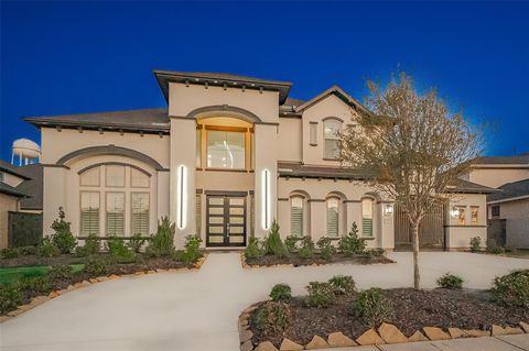115 Mint Marigold Way Richmond TX 77406
