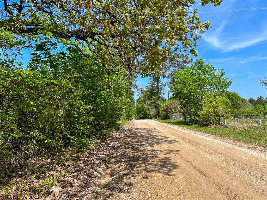 Walker Loop, Huntsville, Texas image 6