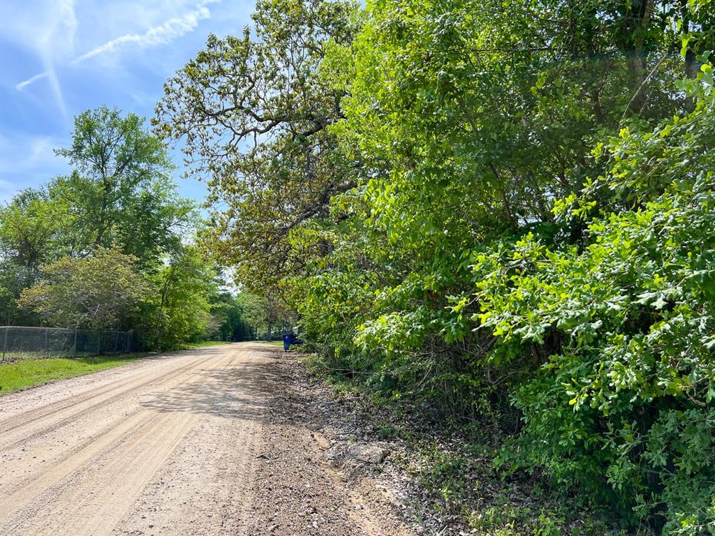 Walker Loop, Huntsville, Texas image 9