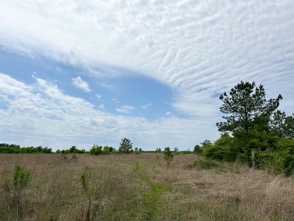 Walker Loop, Huntsville, Texas image 11