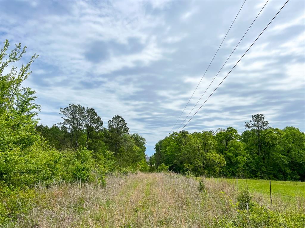 Walker Loop, Huntsville, Texas image 14