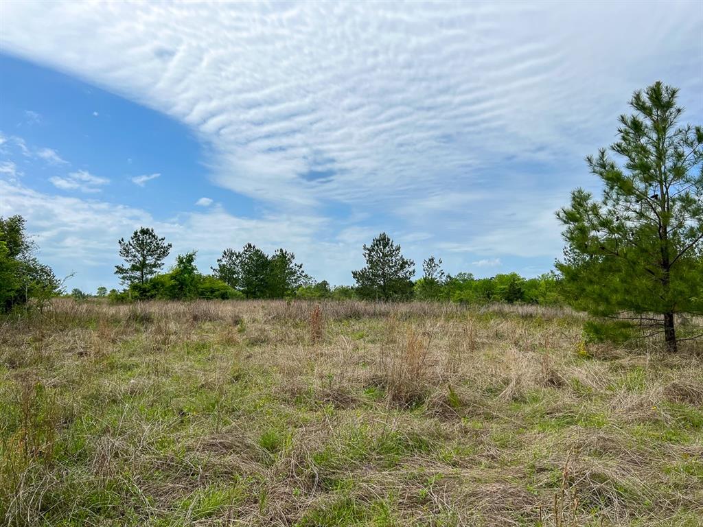 Walker Loop, Huntsville, Texas image 16