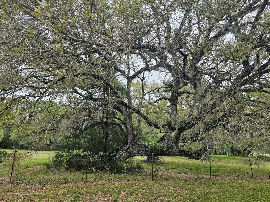 20146 Highway 35 Highway, Sweeny, Texas image 18