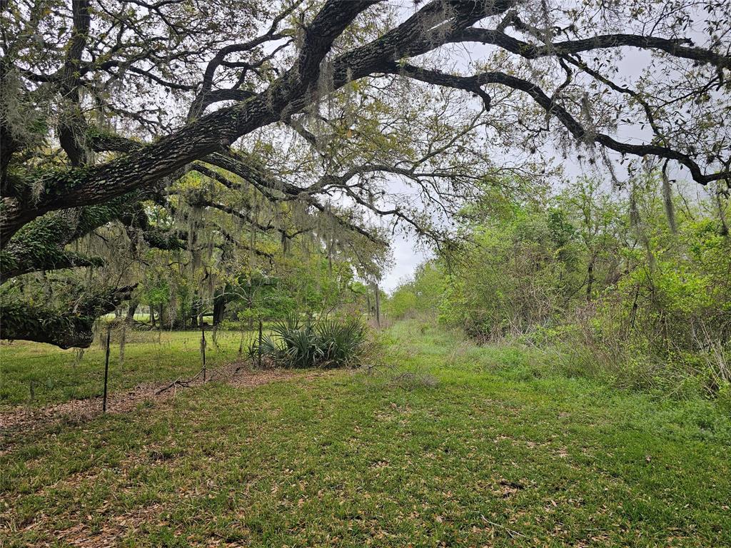20146 Highway 35 Highway, Sweeny, Texas image 19