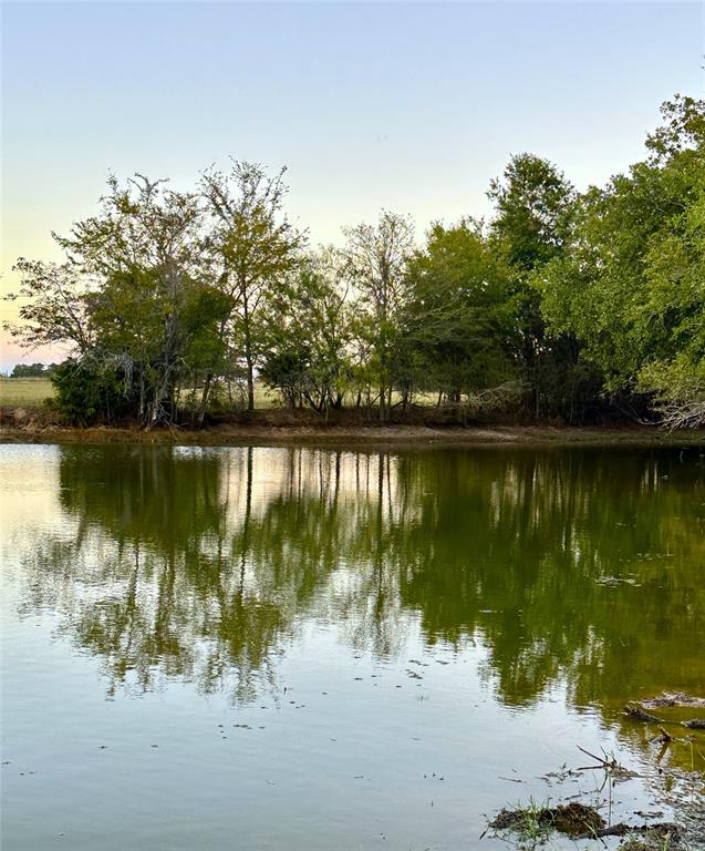 TBD Fm 2293, Bremond, Texas image 13