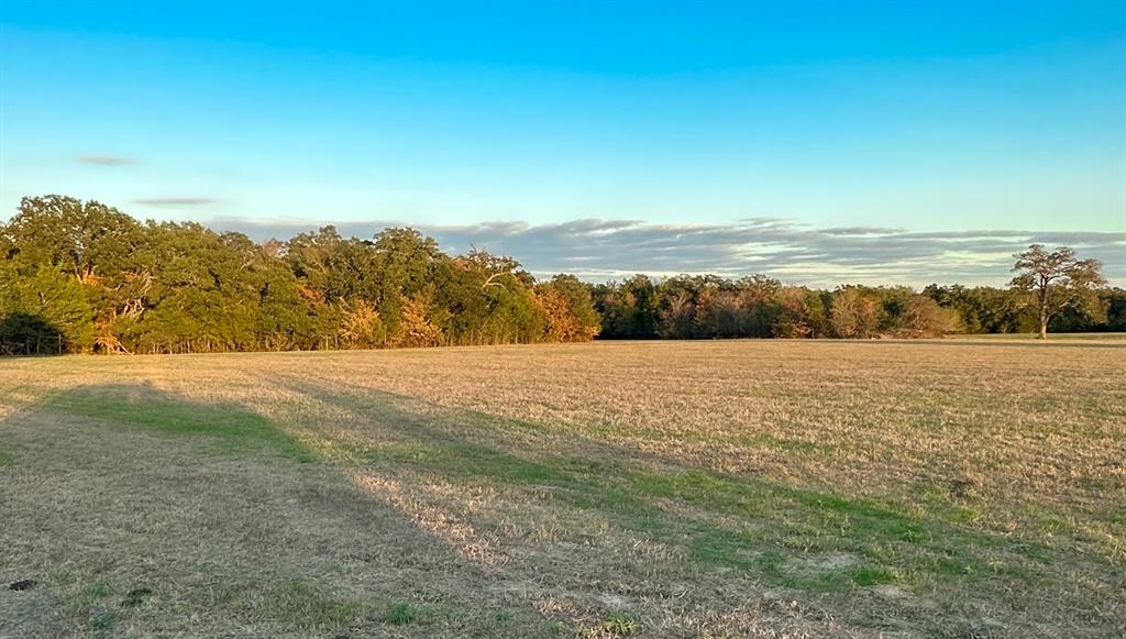 TBD Fm 2293, Bremond, Texas image 3