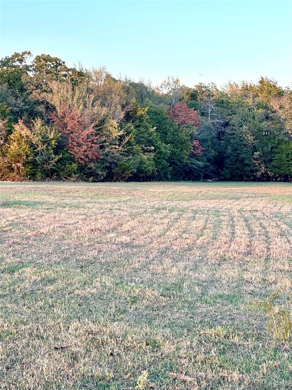 TBD Fm 2293, Bremond, Texas image 7