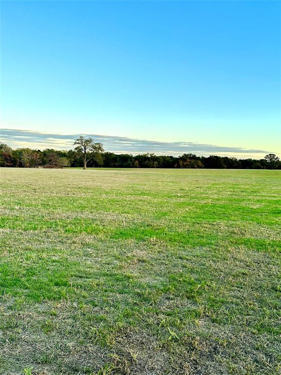 TBD Fm 2293, Bremond, Texas image 8