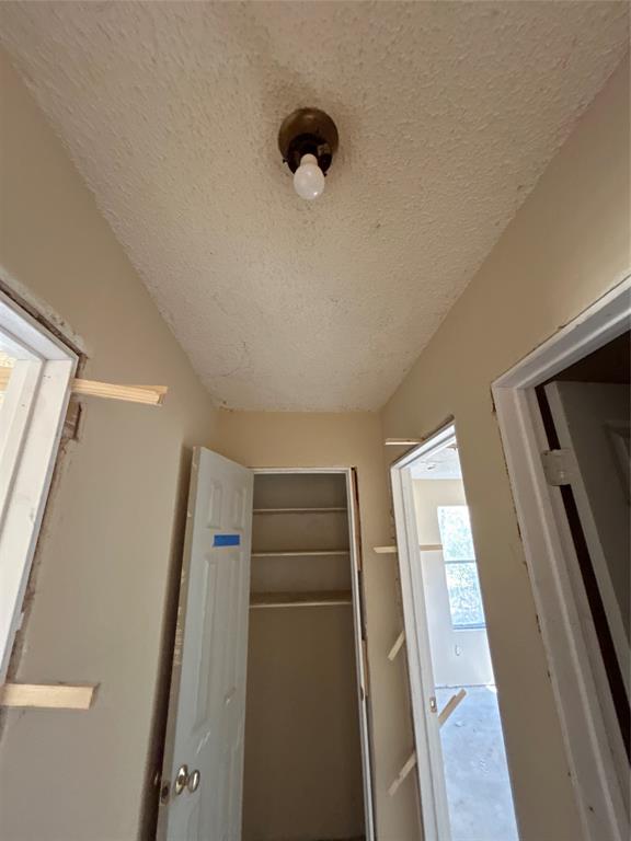16118 Stoltje B Drive, Conroe, Texas image 11