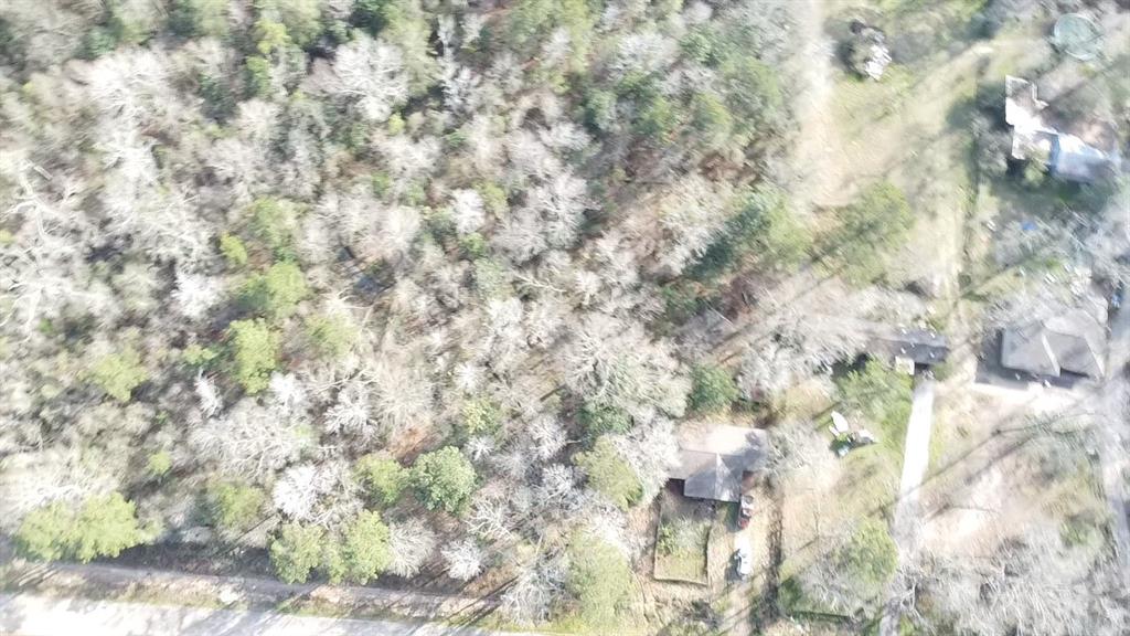 16118 Stoltje B Drive, Conroe, Texas image 5