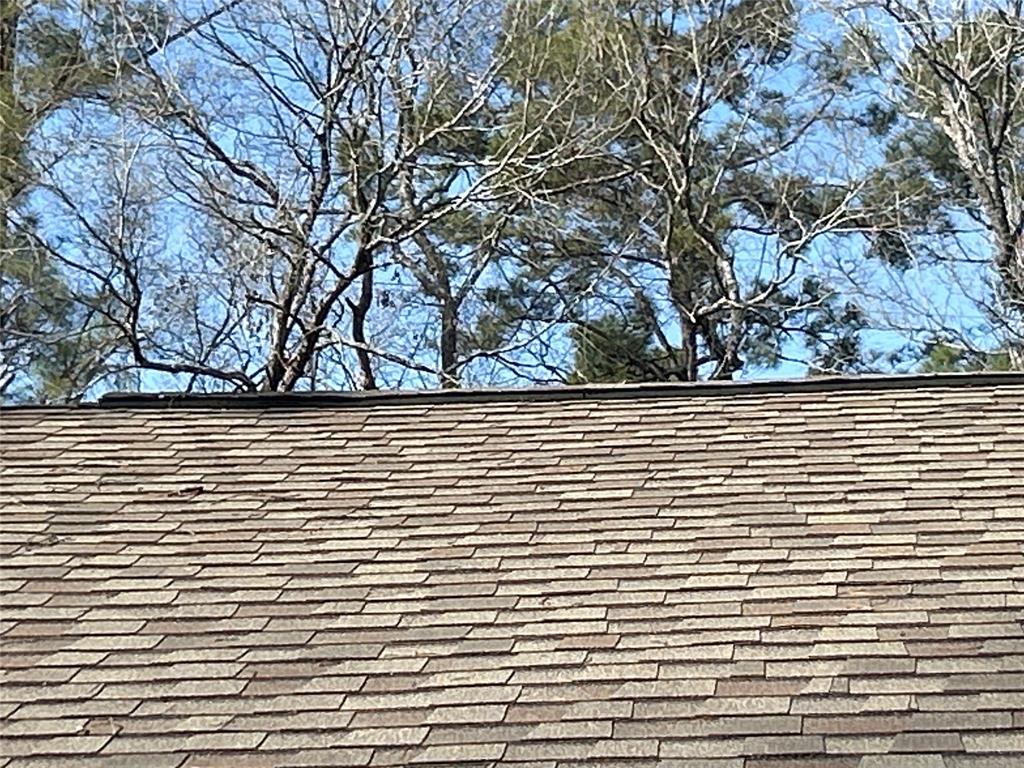 16118 Stoltje B Drive, Conroe, Texas image 35
