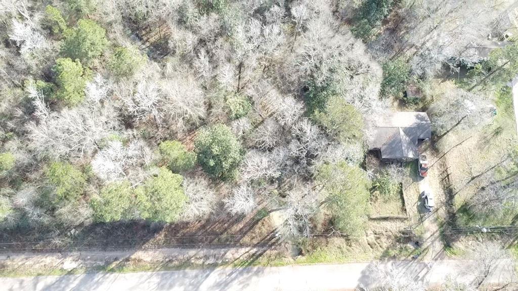 16118 Stoltje B Drive, Conroe, Texas image 4