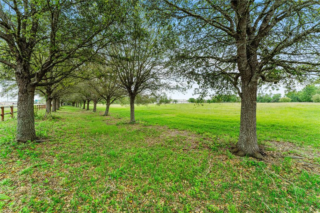 Fm 1462 Road, Damon, Texas image 10