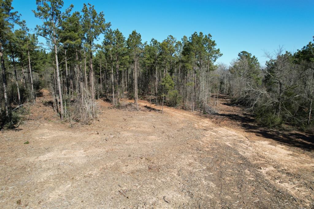 TBD-D County Road 3198, Mount Enterprise, Texas image 16