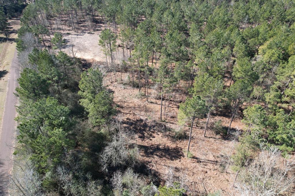 TBD-D County Road 3198, Mount Enterprise, Texas image 9