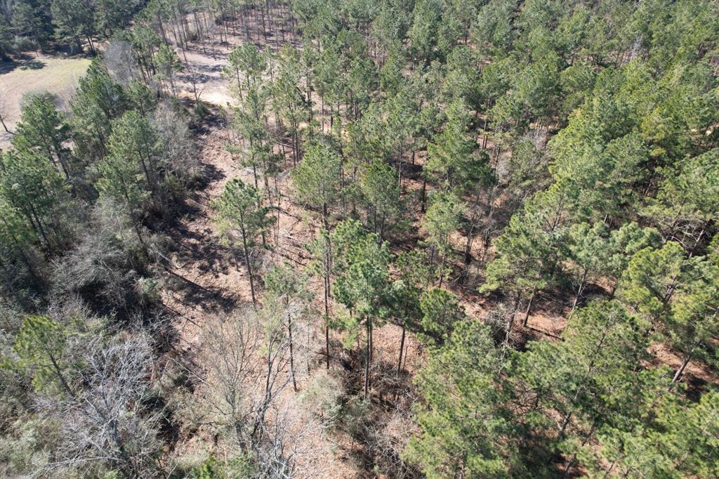 TBD-D County Road 3198, Mount Enterprise, Texas image 8